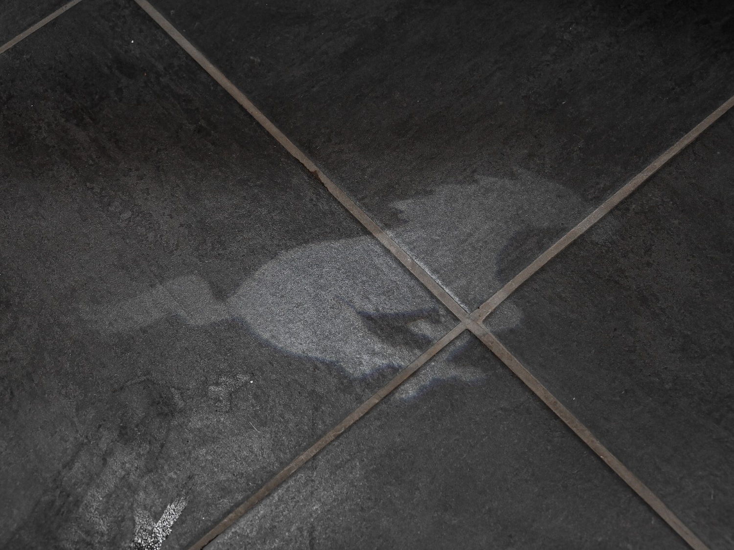 Used Ford Mustang 2020 for sale - 77116142: Photo 34