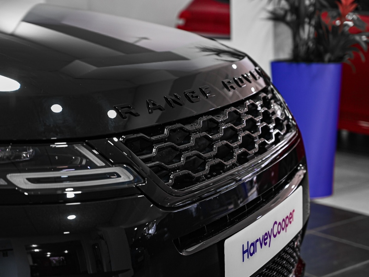 Used Land Rover Range Rover Evoque 2022 for sale - 76501319: Photo 17