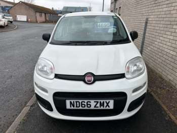 Used Fiat Panda 2017 for sale - 73583288: Photo
