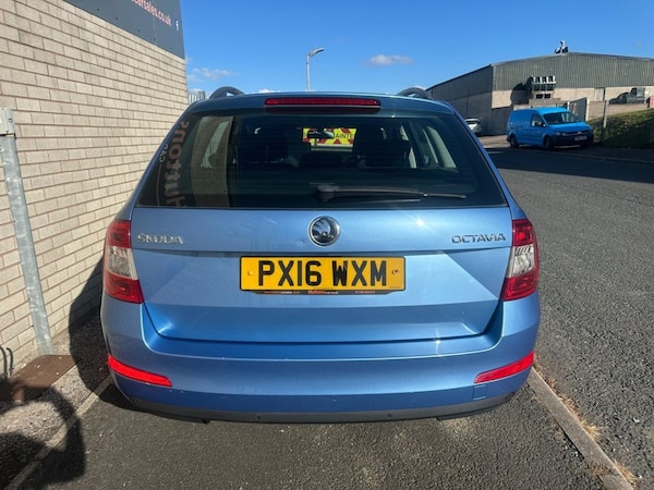 Used Skoda Octavia 2016 for sale - 75698329: Photo 6