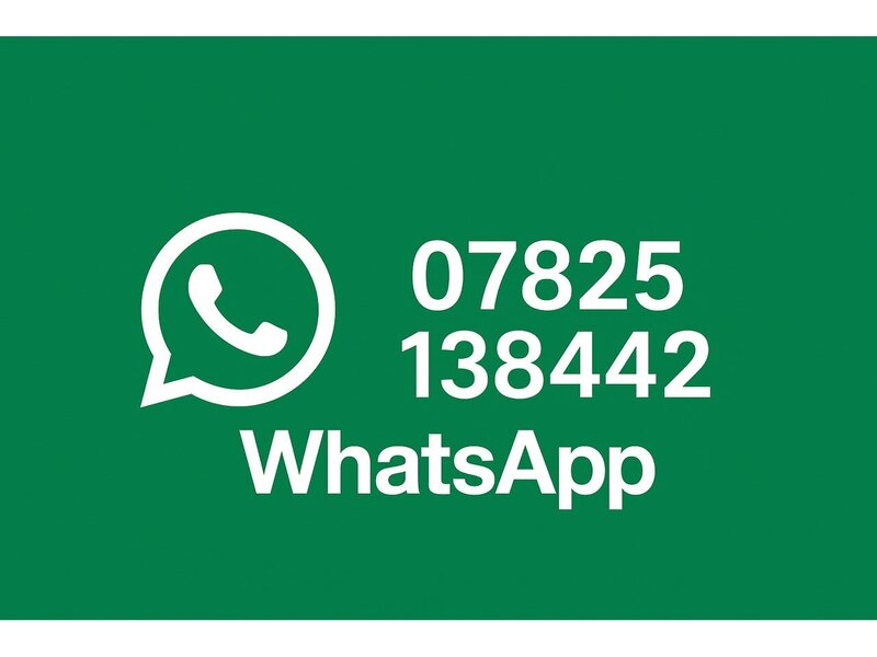 Used Ford Focus 2013 for sale - 77384800: Photo 6