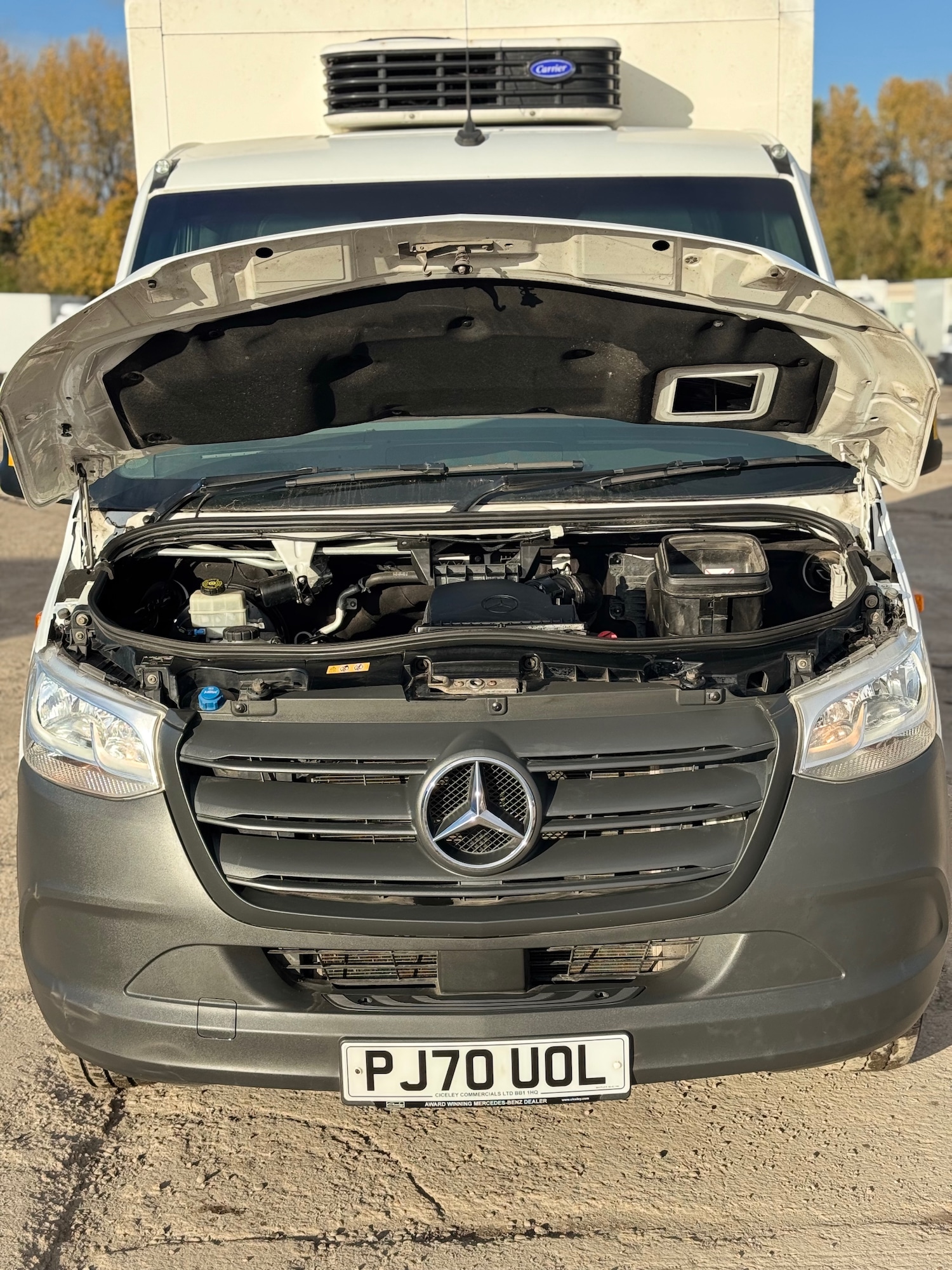 Used Mercedes-Benz Sprinter 2020 for sale - 76397209: Photo 11