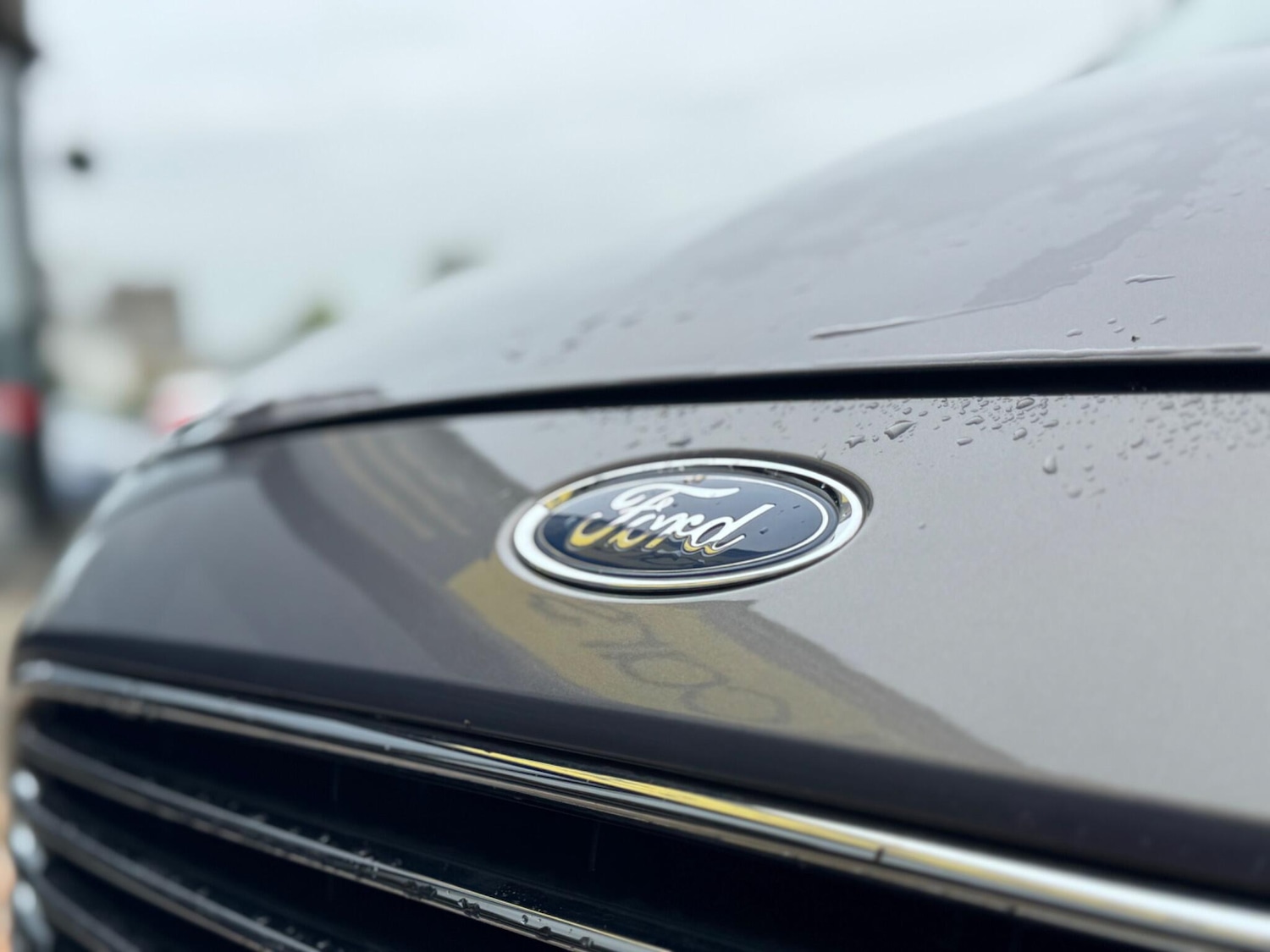 Used Ford Focus 2014 for sale - 76251426: Photo 16