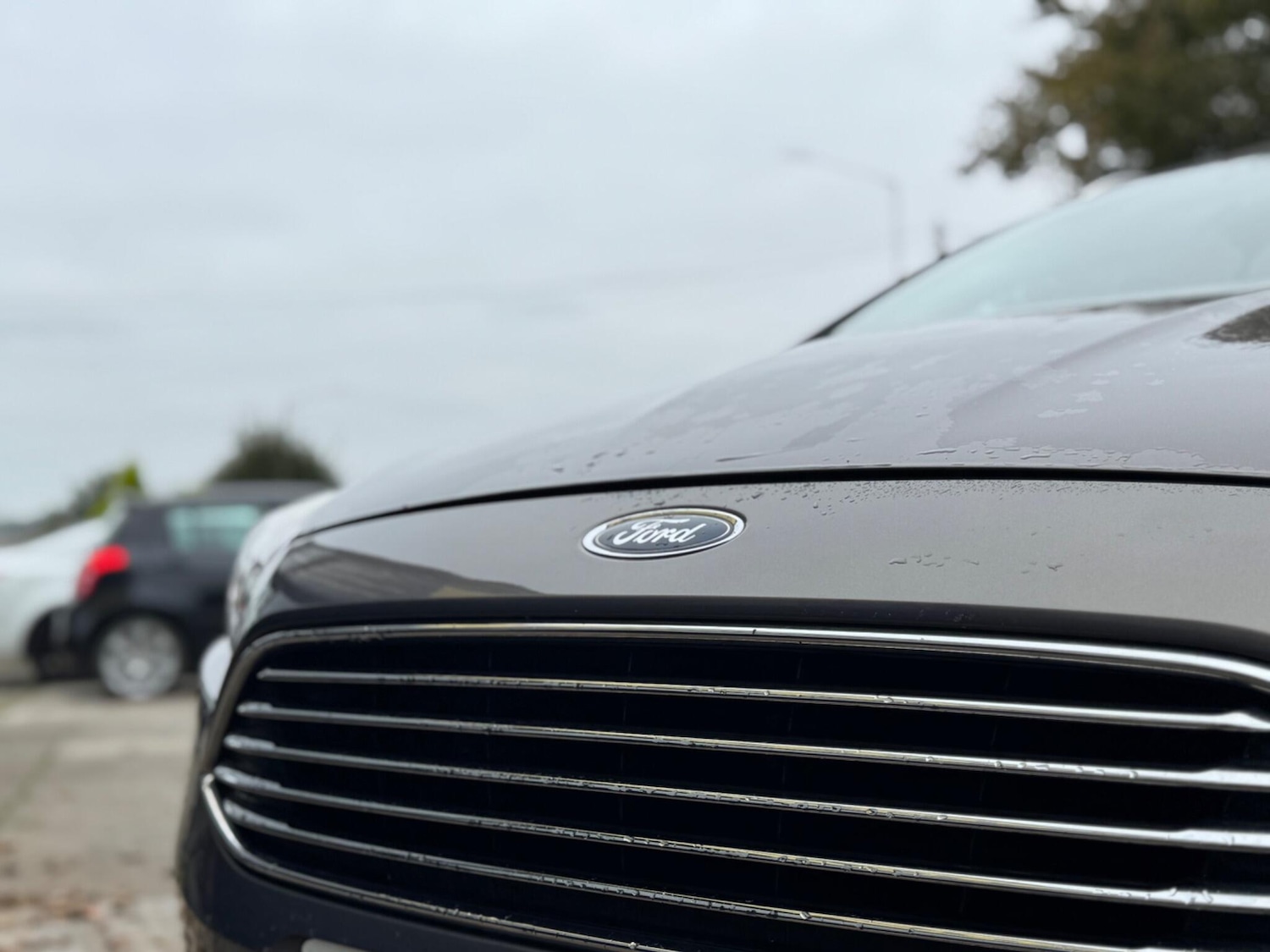 Used Ford Focus 2014 for sale - 76251426: Photo 17