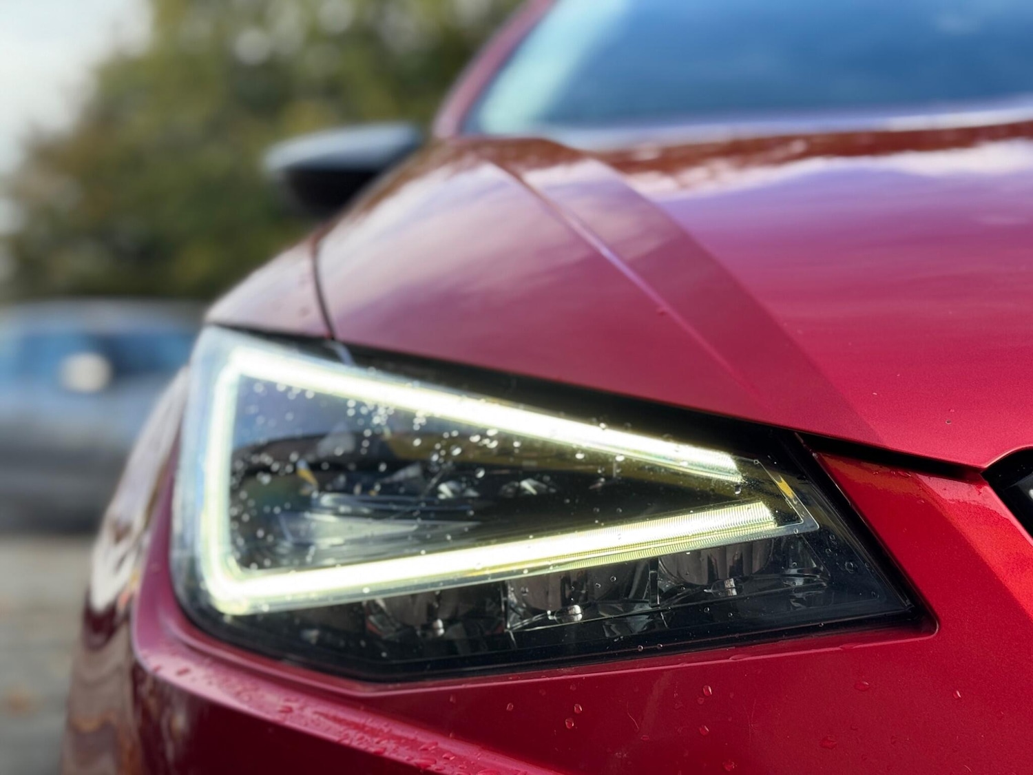 Used SEAT Ibiza 2019 for sale - 76715078: Photo 11