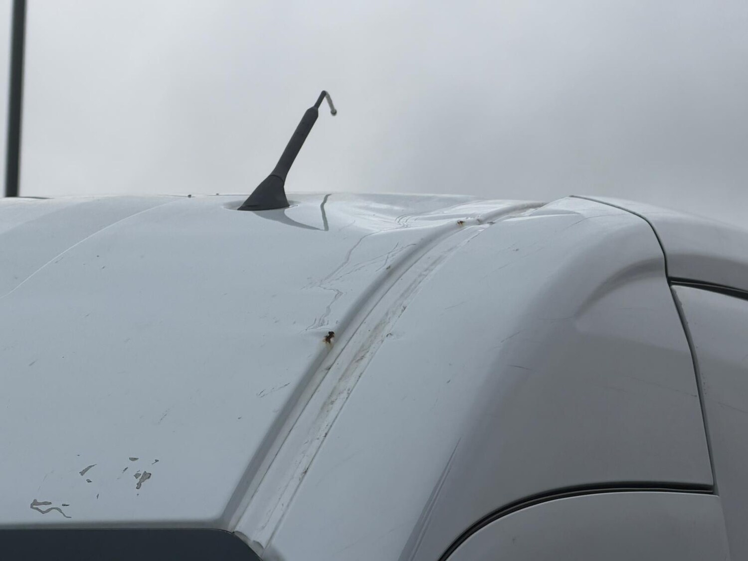 Used Ford Transit 2024 for sale - 77357601: Photo 8