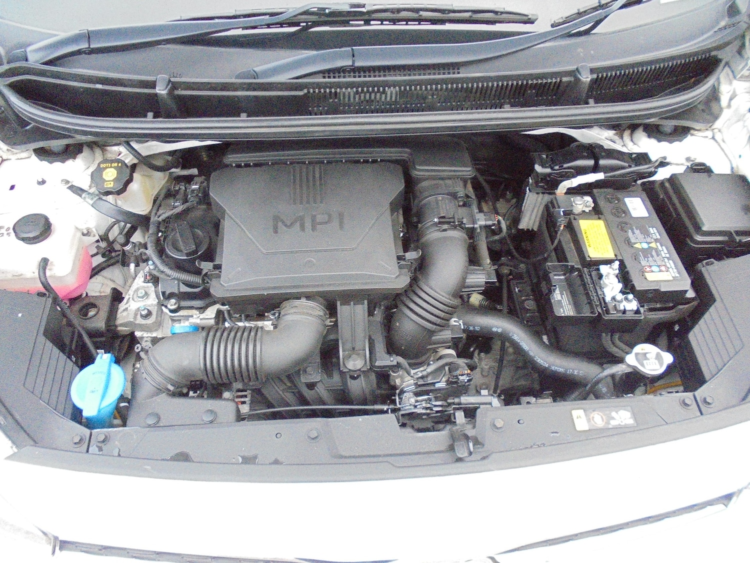 Used Kia Picanto 2023 for sale - 77519031: Photo 14