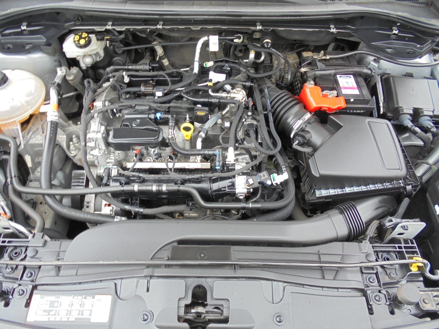 Used Ford Kuga 2023 for sale - 78091005: Photo 14