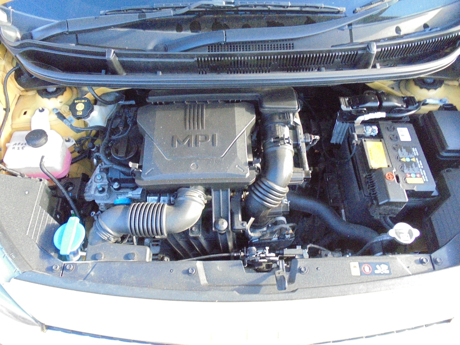 Used Kia Picanto 2023 for sale - 76920032: Photo 14