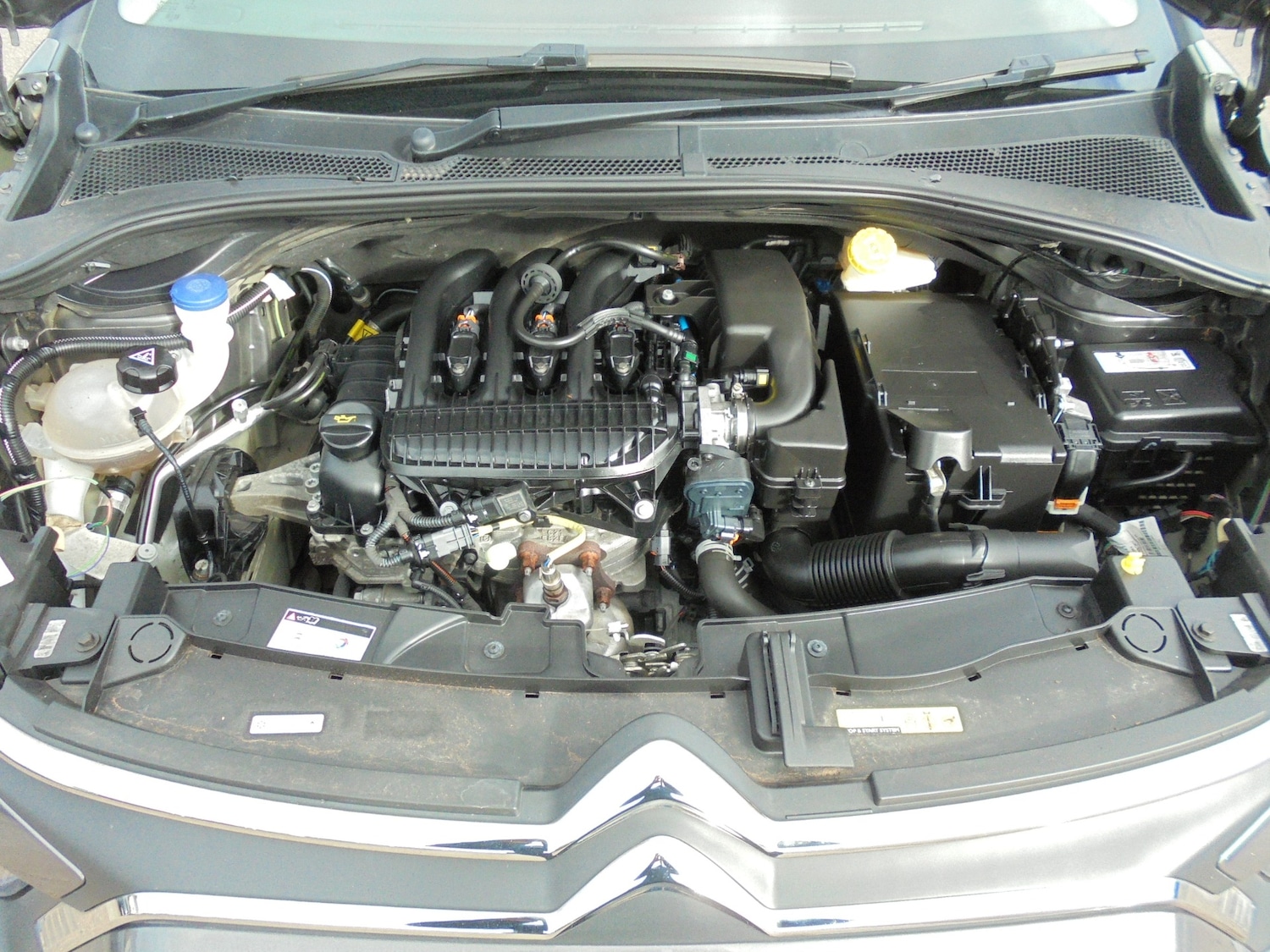 Used Citroen C3 2023 for sale - 78067314: Photo 10