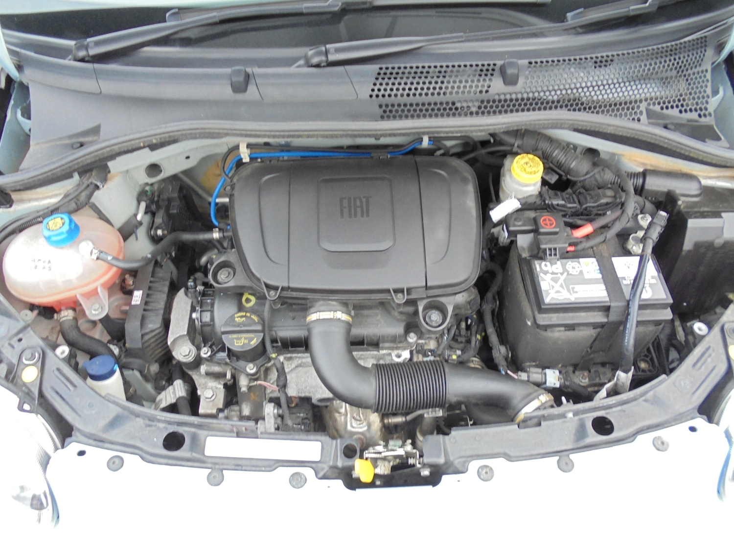 Used Fiat 500 2023 for sale - 77519012: Photo 14