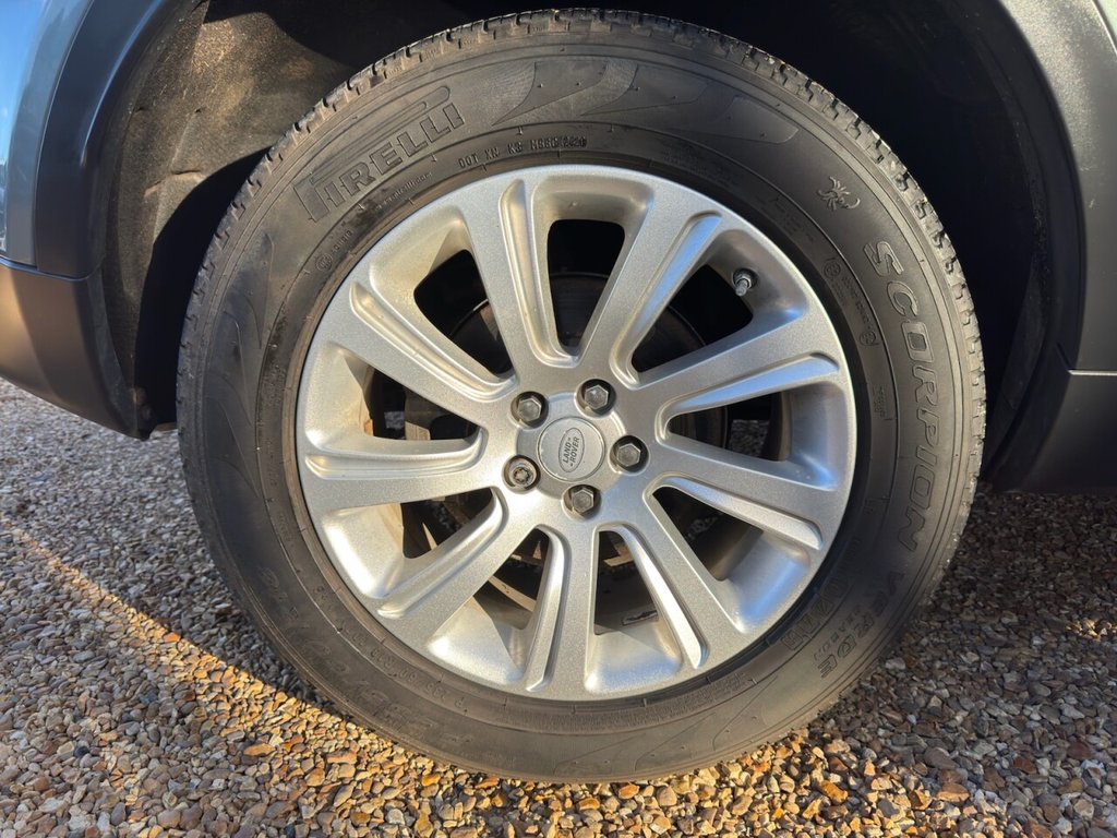 Vehicle 31