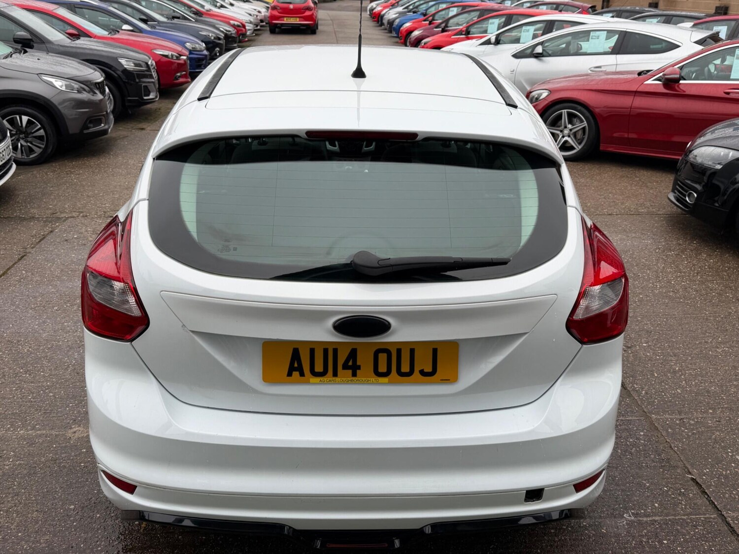 Used Ford Focus for sale - 77456543: Photo 13