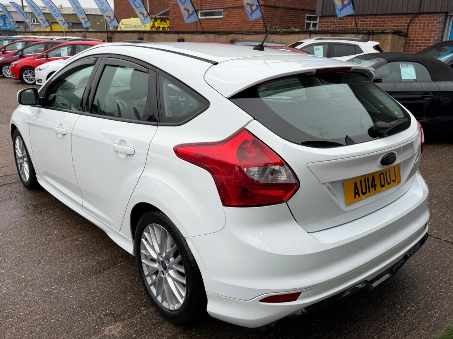 Used Ford Focus for sale - 77456543: Photo 14