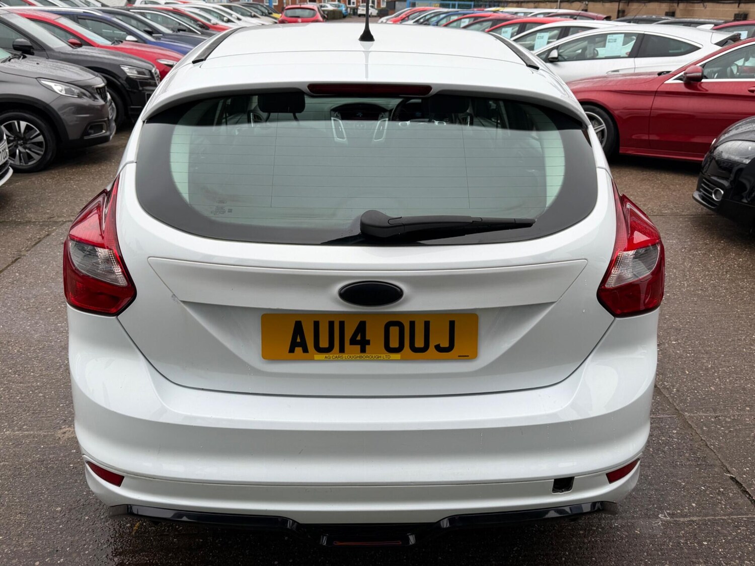 Used Ford Focus for sale - 77456543: Photo 16