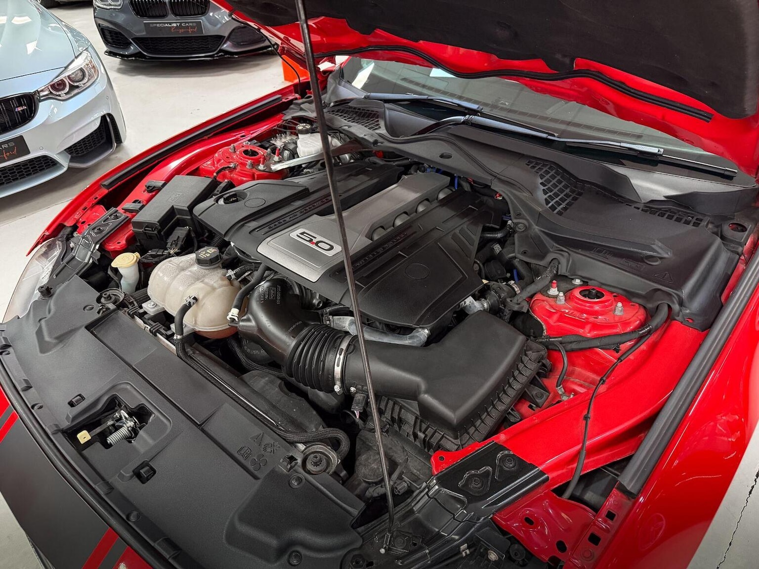 Used Ford Mustang 2019 for sale - 76656315: Photo 40