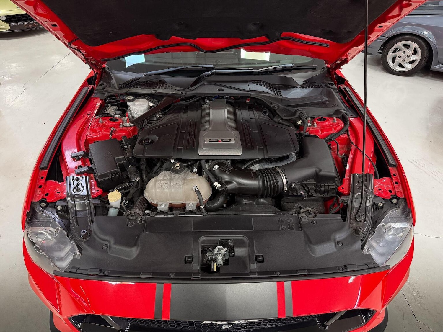 Used Ford Mustang 2019 for sale - 76455513: Photo 39