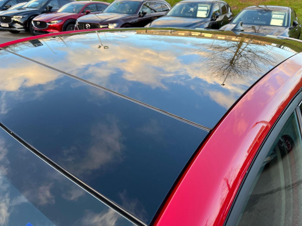 Used Ford Focus 2025 for sale - 76905679: Photo 29