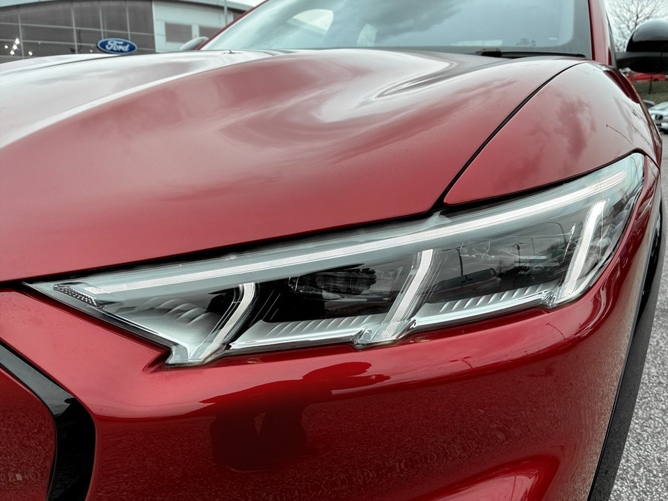 Used Ford Mustang Mach-E 2025 for sale - 77604207: Photo 10