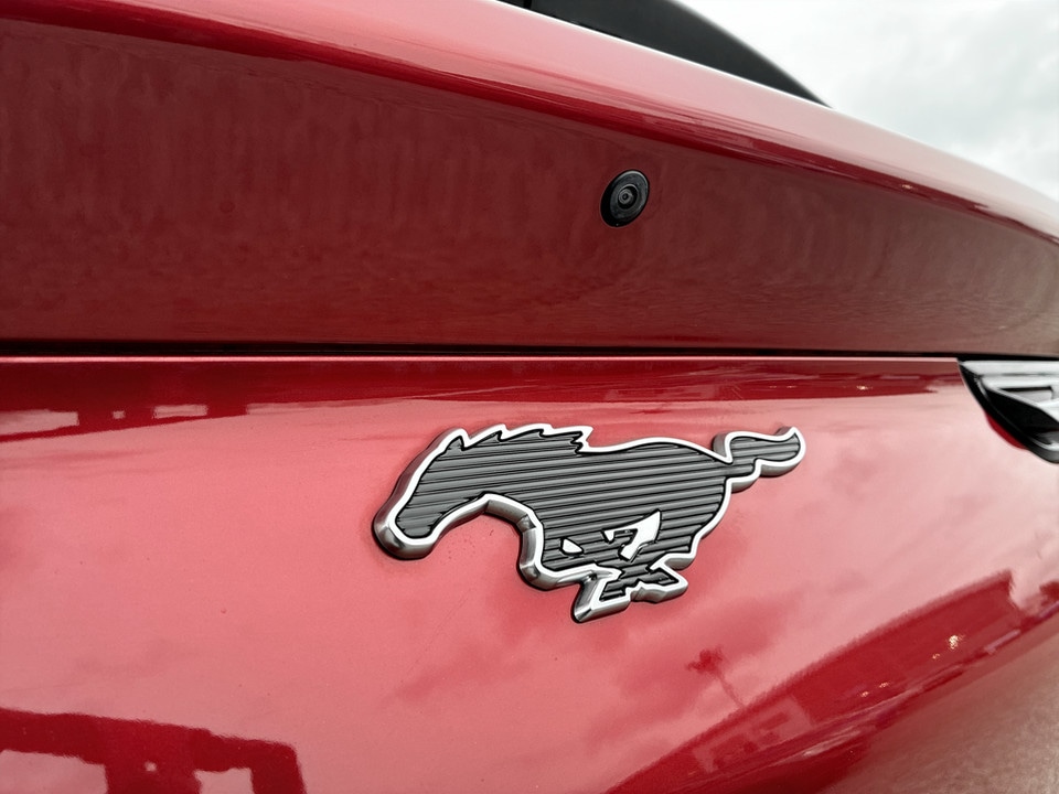 Used Ford Mustang Mach-E 2025 for sale - 77604207: Photo 25