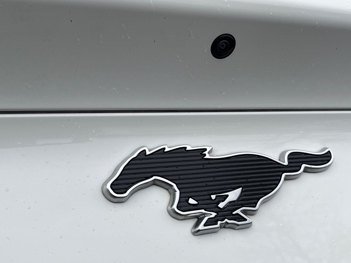 Used Ford Mustang Mach-E 2022 for sale - 76980105: Photo 24