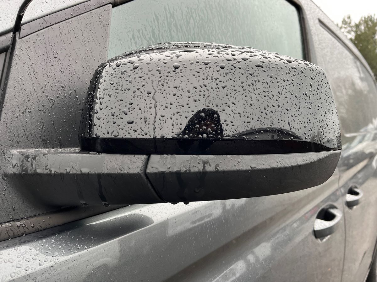 Used Ford Transit Connect 2025 for sale - 76807830: Photo 18