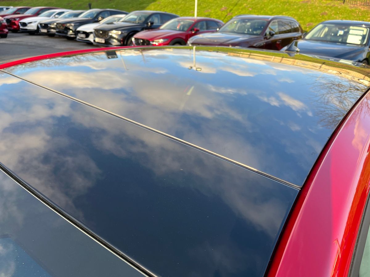 Used Ford Focus 2025 for sale - 76905665: Photo 30