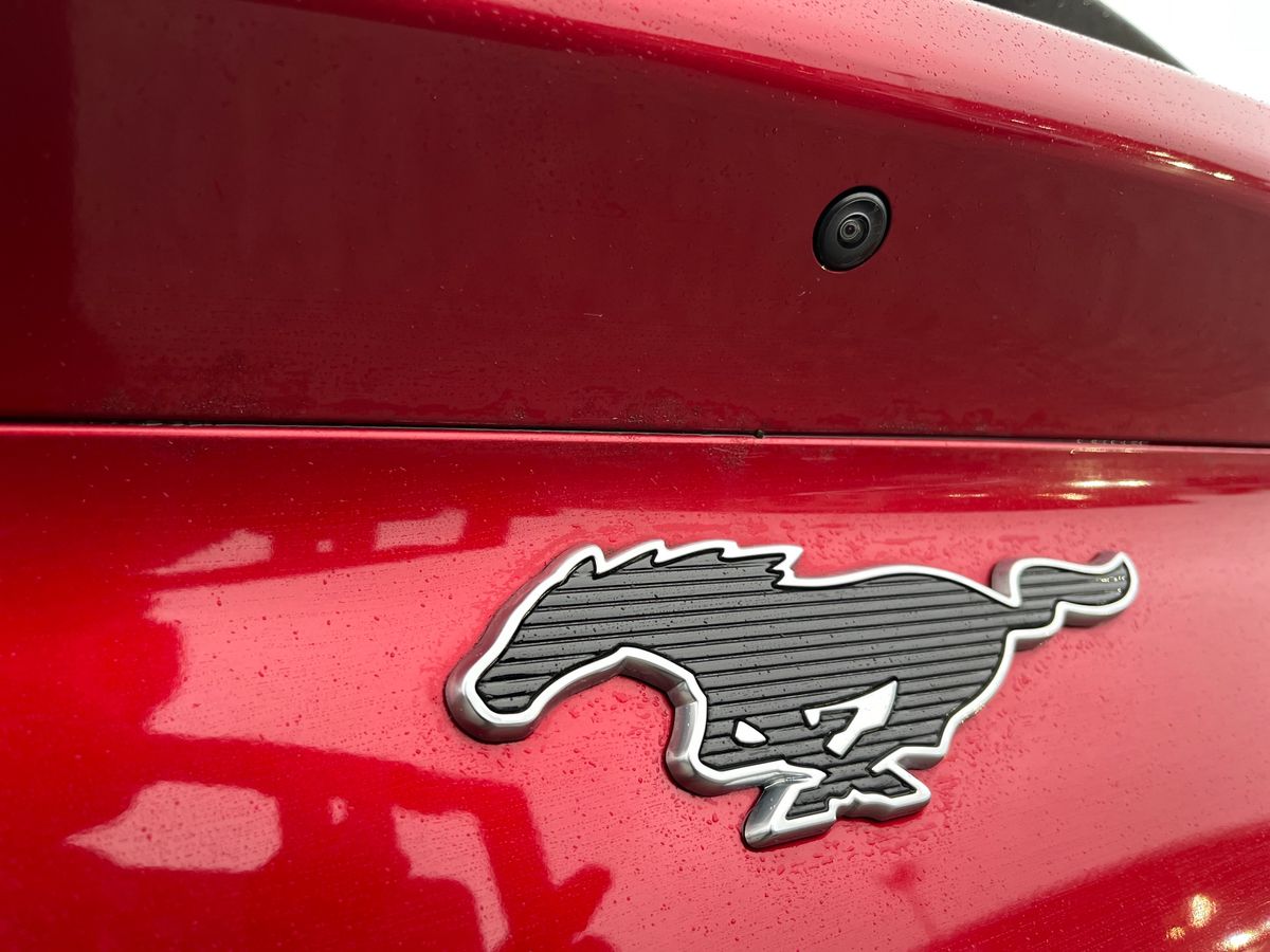 Used Ford Mustang Mach-E 2020 for sale - 77350722: Photo 25