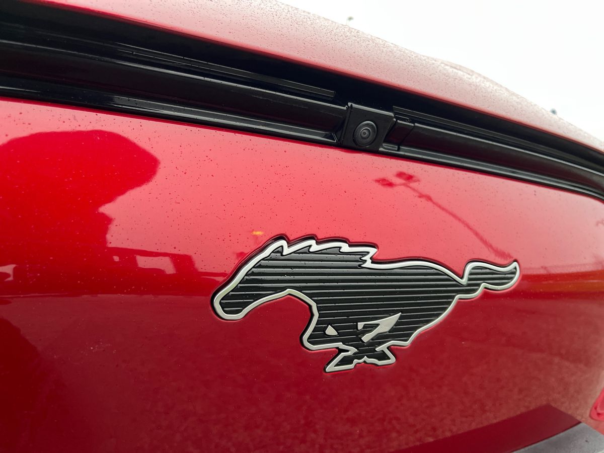 Used Ford Mustang Mach-E 2020 for sale - 77350722: Photo 29