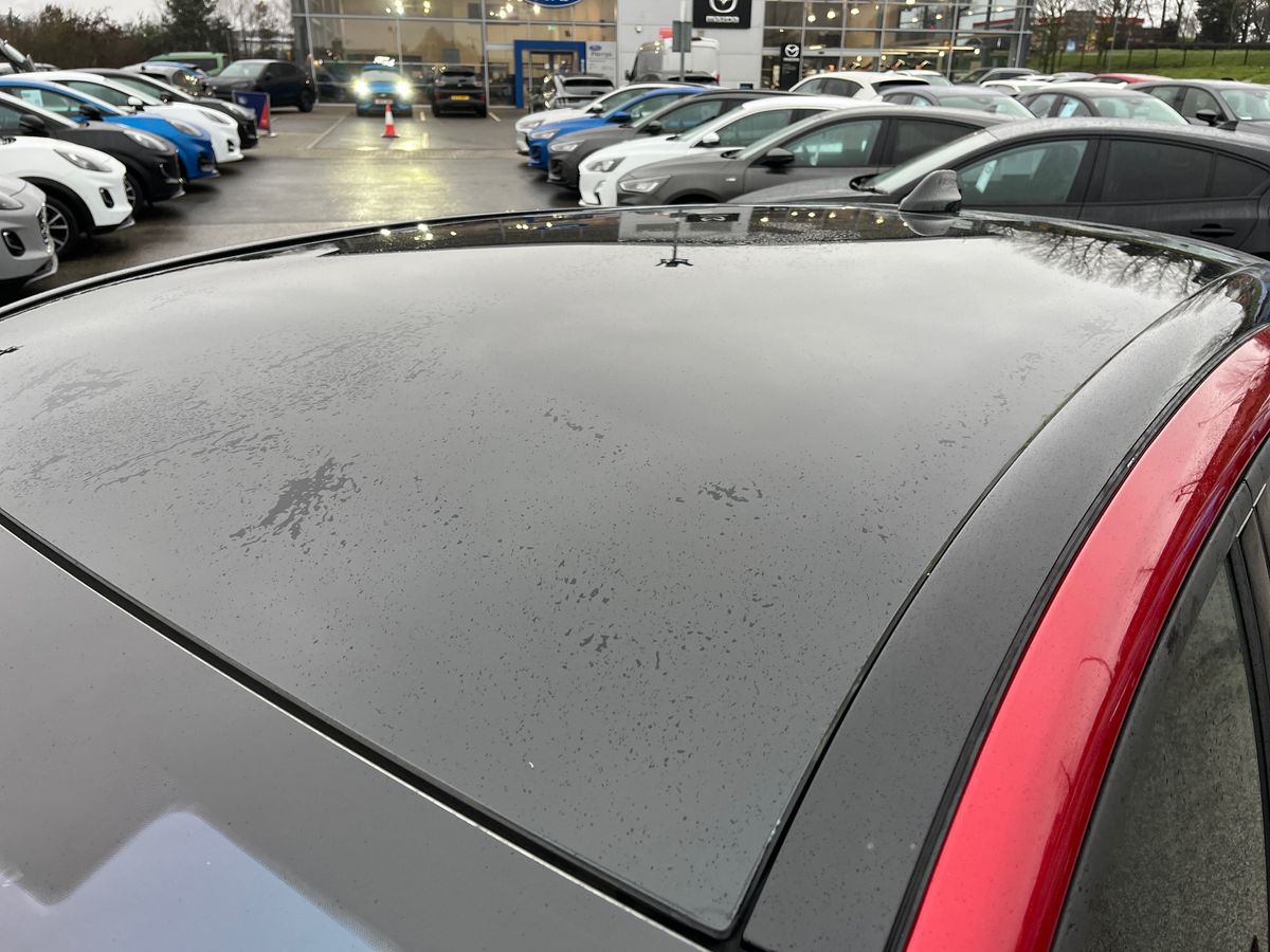 Used Ford Mustang Mach-E 2020 for sale - 77350722: Photo 32