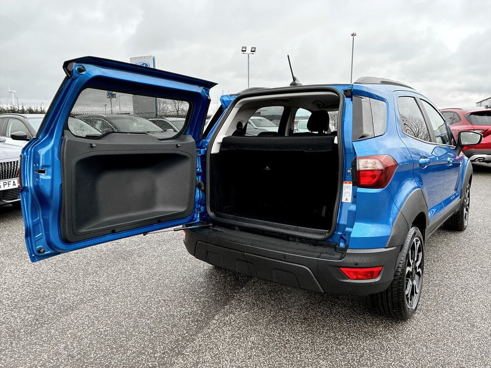 Used Ford Ecosport 2023 for sale - 77555561: Photo 13