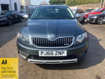 Used Skoda Octavia 2016 for sale - 74954027: Photo