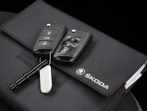 Used Skoda Fabia 2019 for sale - 76286701: Photo 20