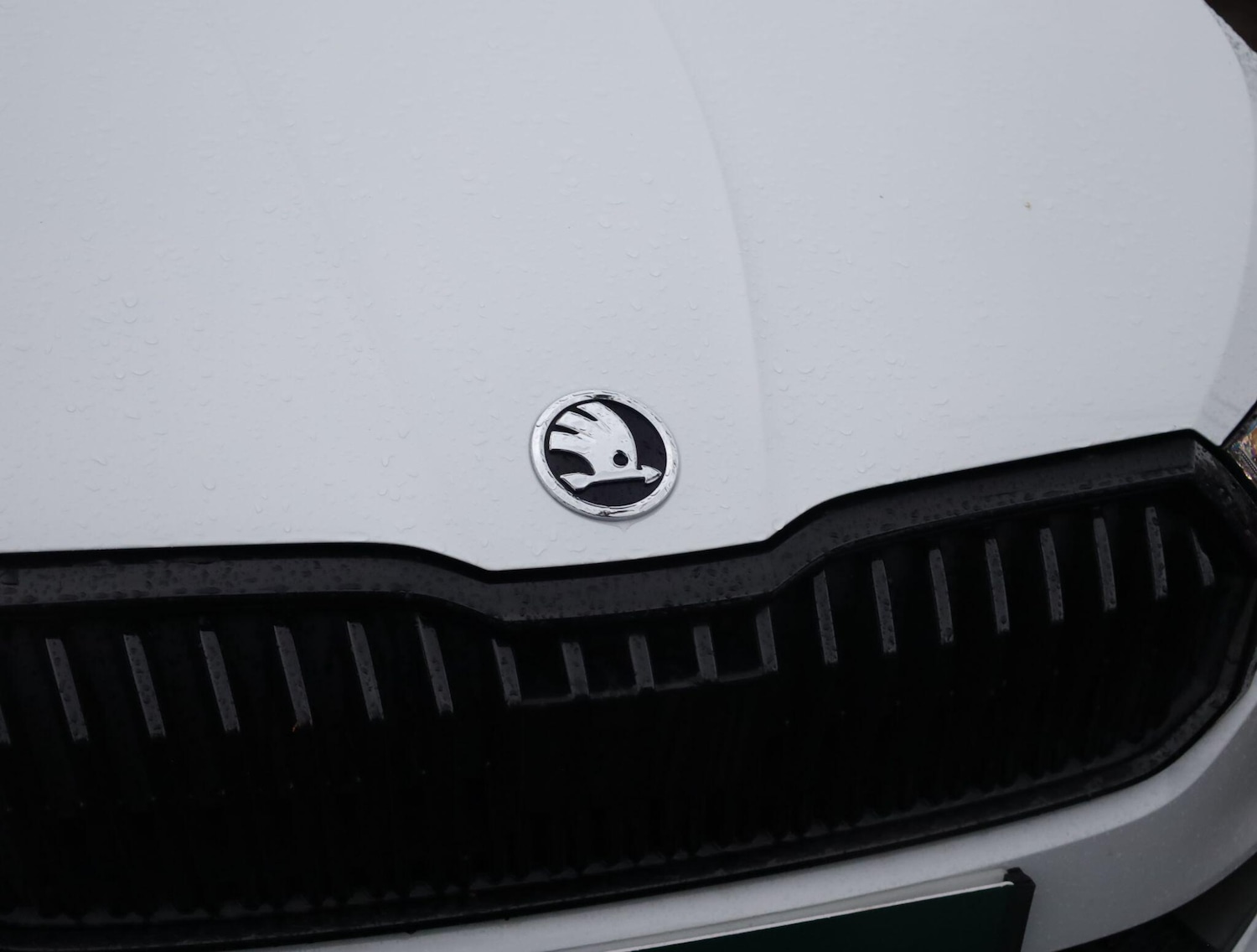 Used Skoda Fabia 2025 for sale - 76680026: Photo 5