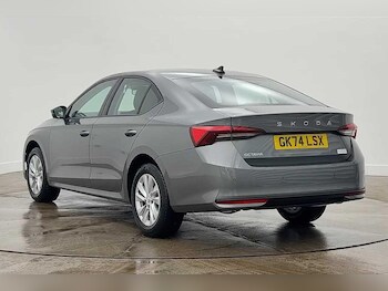 Used Skoda Octavia 2024 for sale - 77515252: Photo