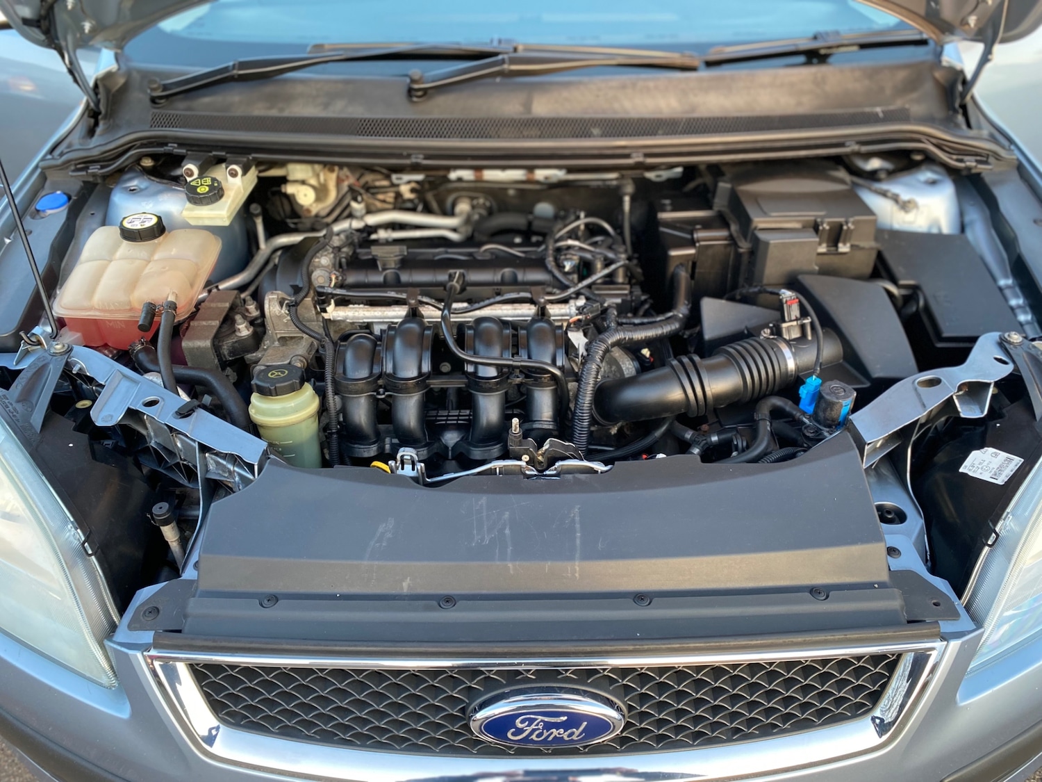 Used Ford Focus 2005 for sale - 77750077: Photo 24