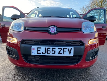 Used Fiat Panda 2015 for sale - 77438663: Photo