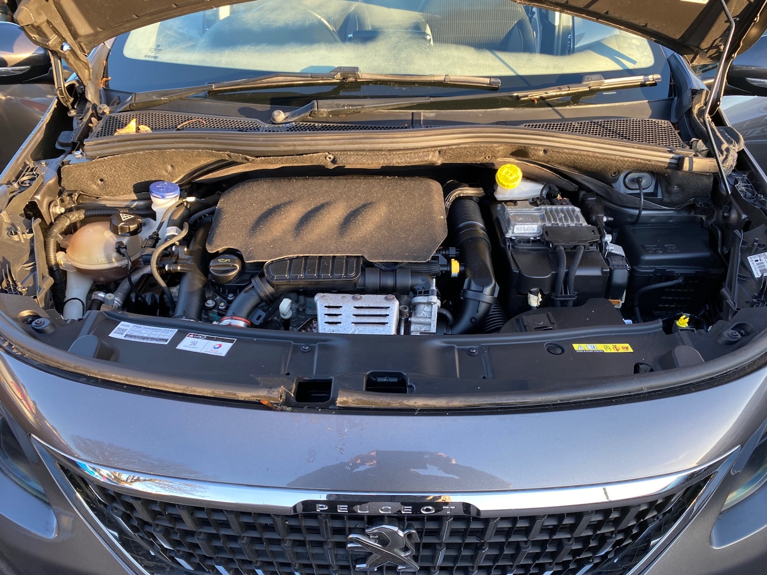 Used Peugeot 2008 2018 for sale - 76768961: Photo 15