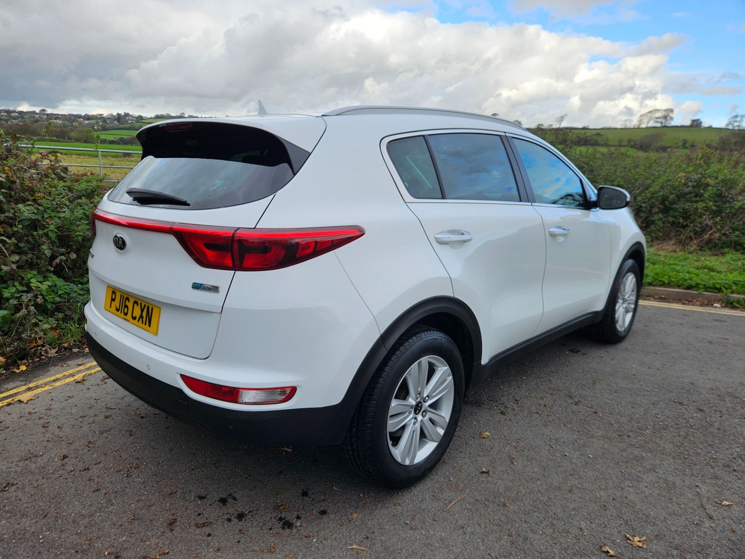 Used Kia Sportage 2016 for sale - 76355691: Photo 3