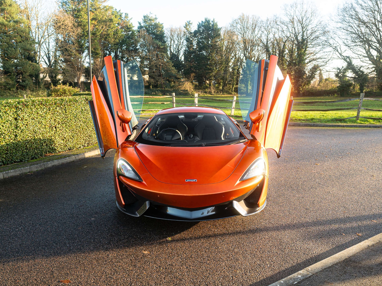 Used McLaren 570S 2016 for sale - 76654024: Photo 18