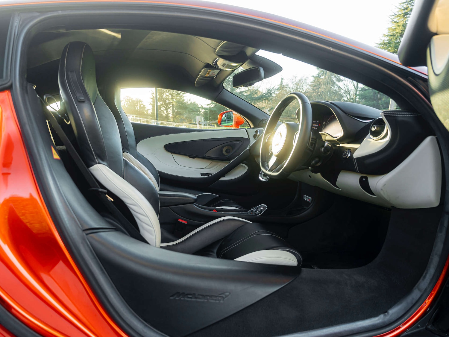 Used McLaren 570S 2016 for sale - 76654024: Photo 21