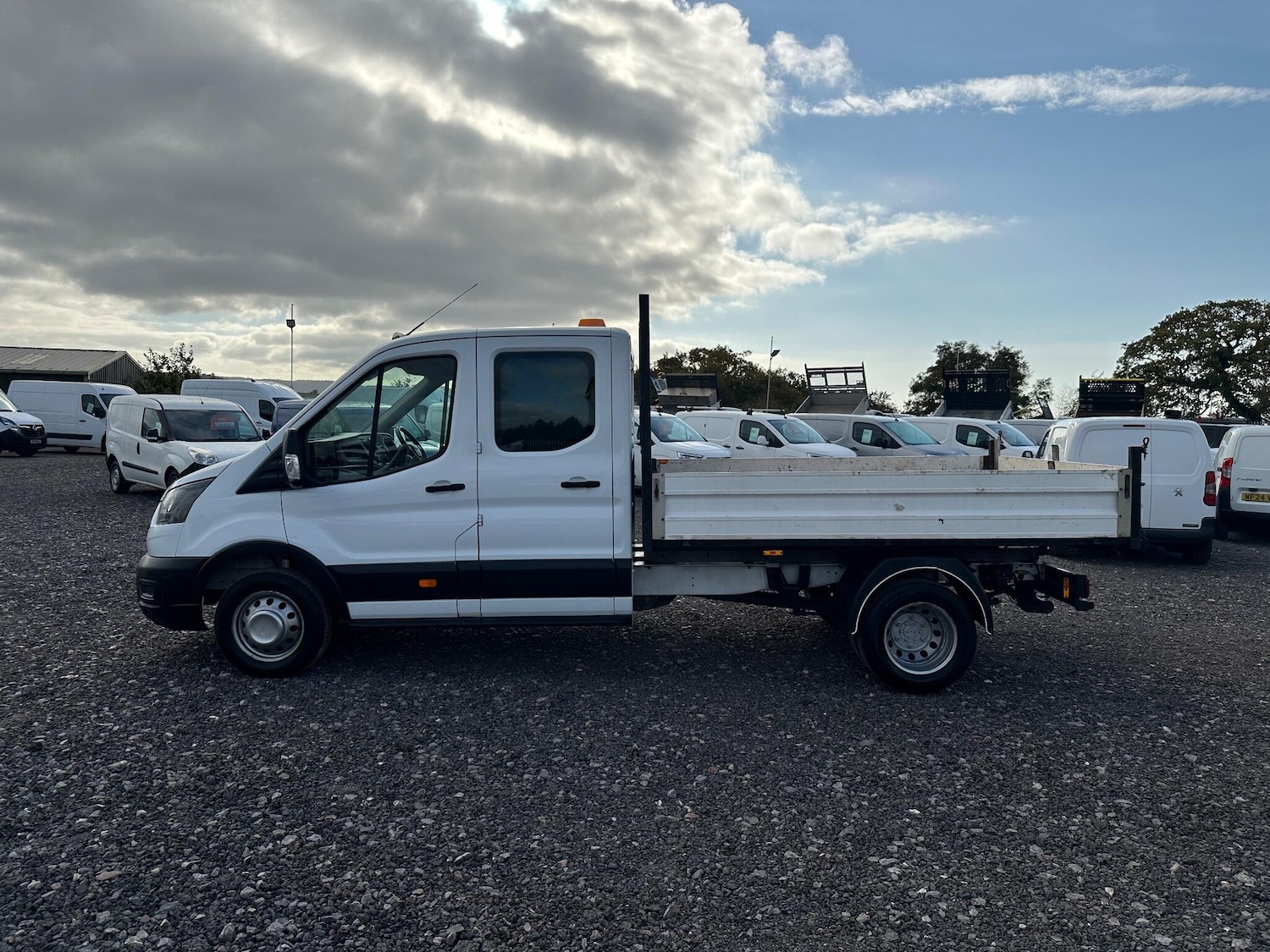 Used Ford Transit for sale - 77266628: Photo 5