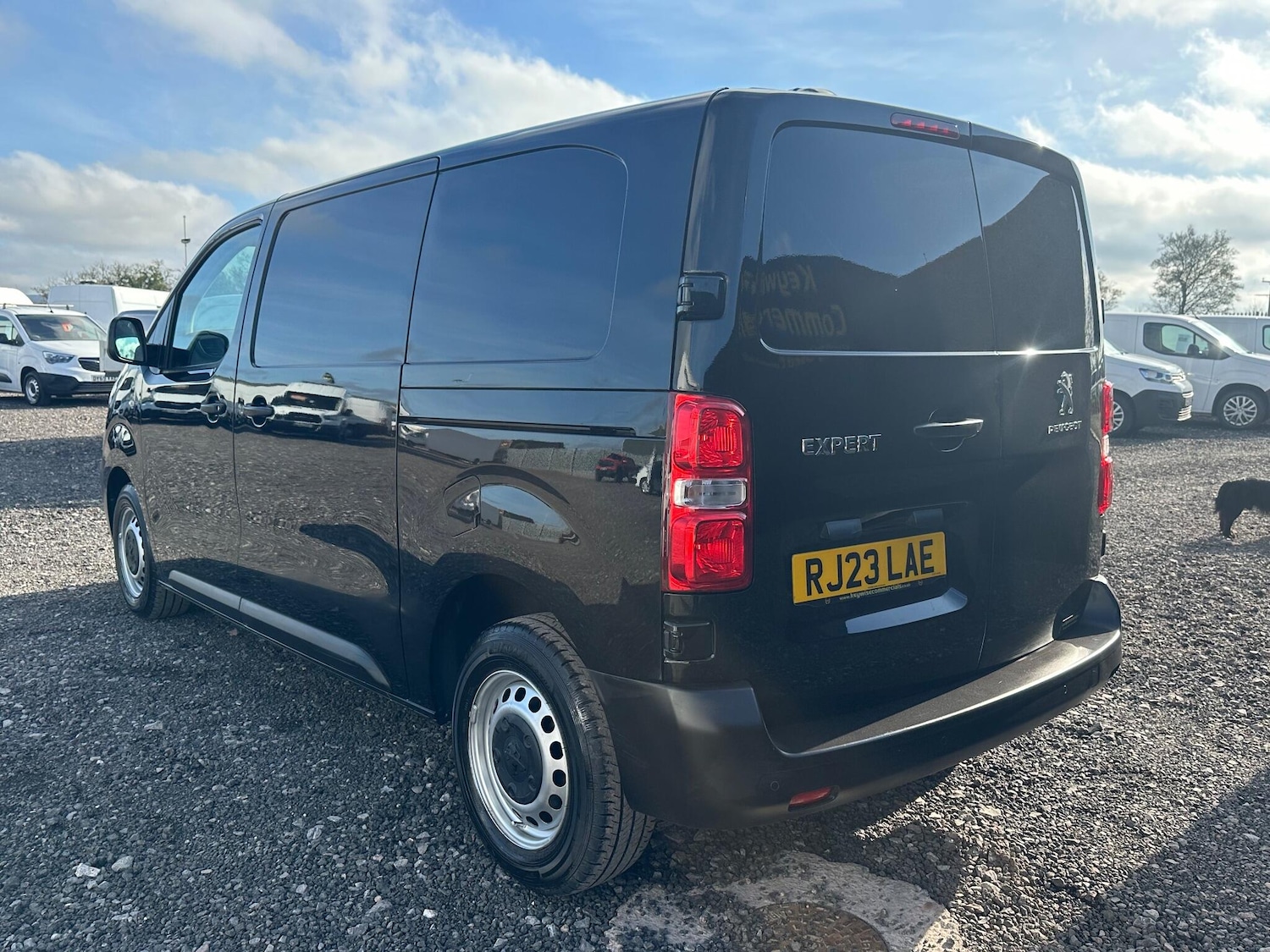 Used Peugeot Expert 2023 for sale - 77657578: Photo 7