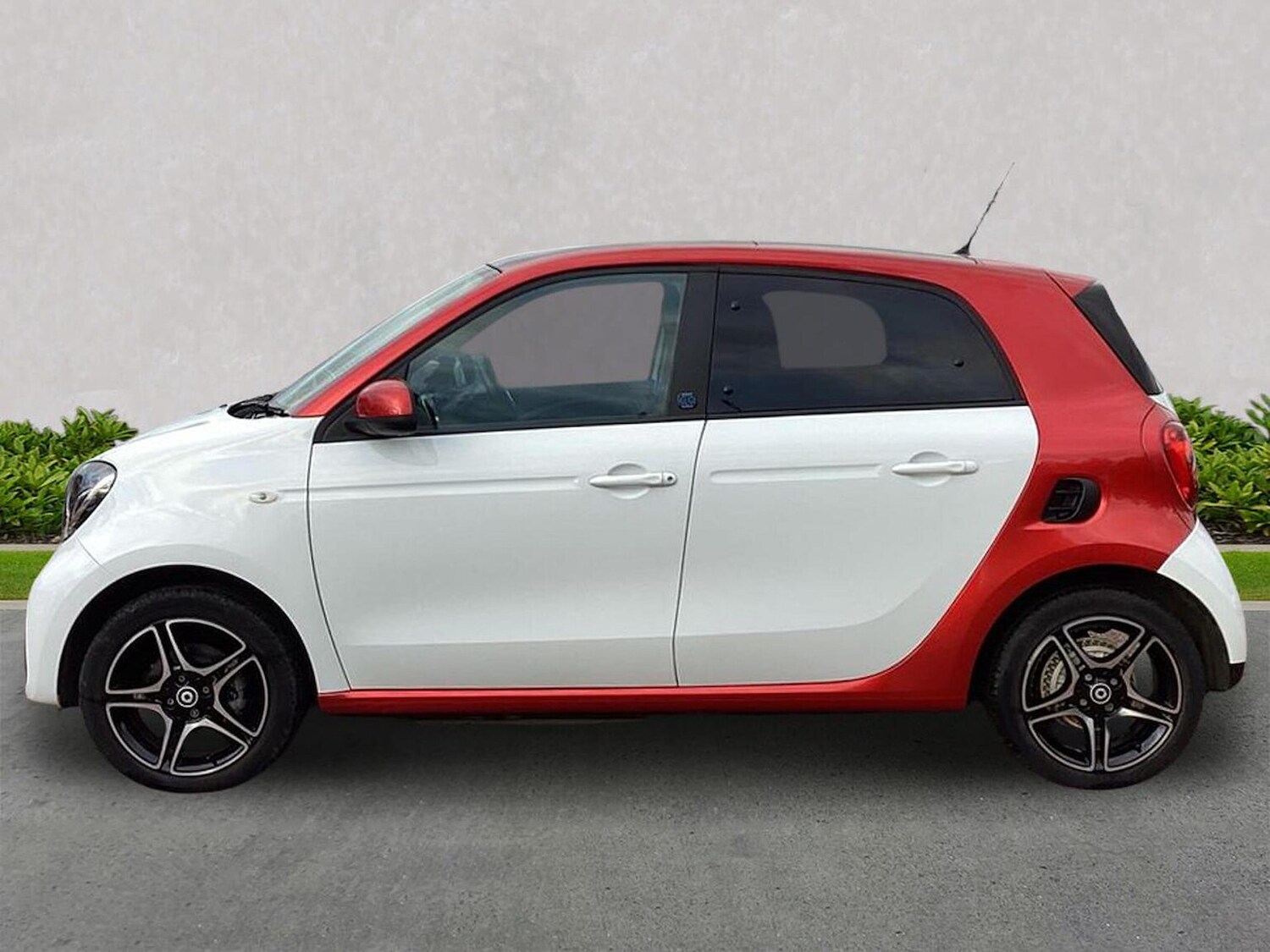Used smart forfour 2021 for sale - 76578299: Photo 15
