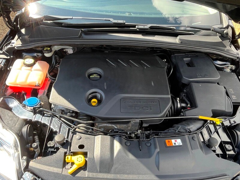 Used Ford Focus 2014 for sale - 78111541: Photo 14