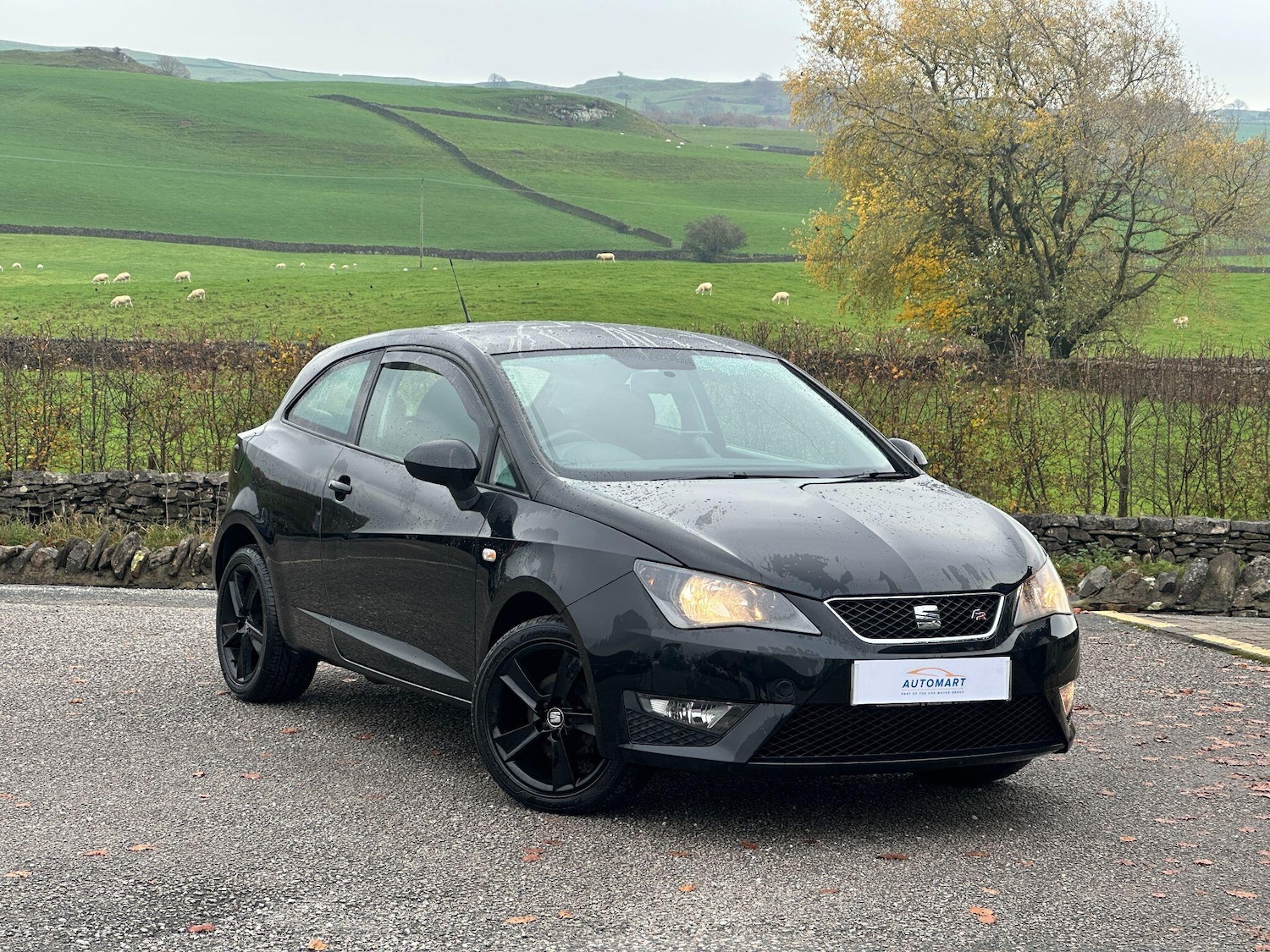 Used SEAT Ibiza 2015 for sale - 76494333: Photo 1