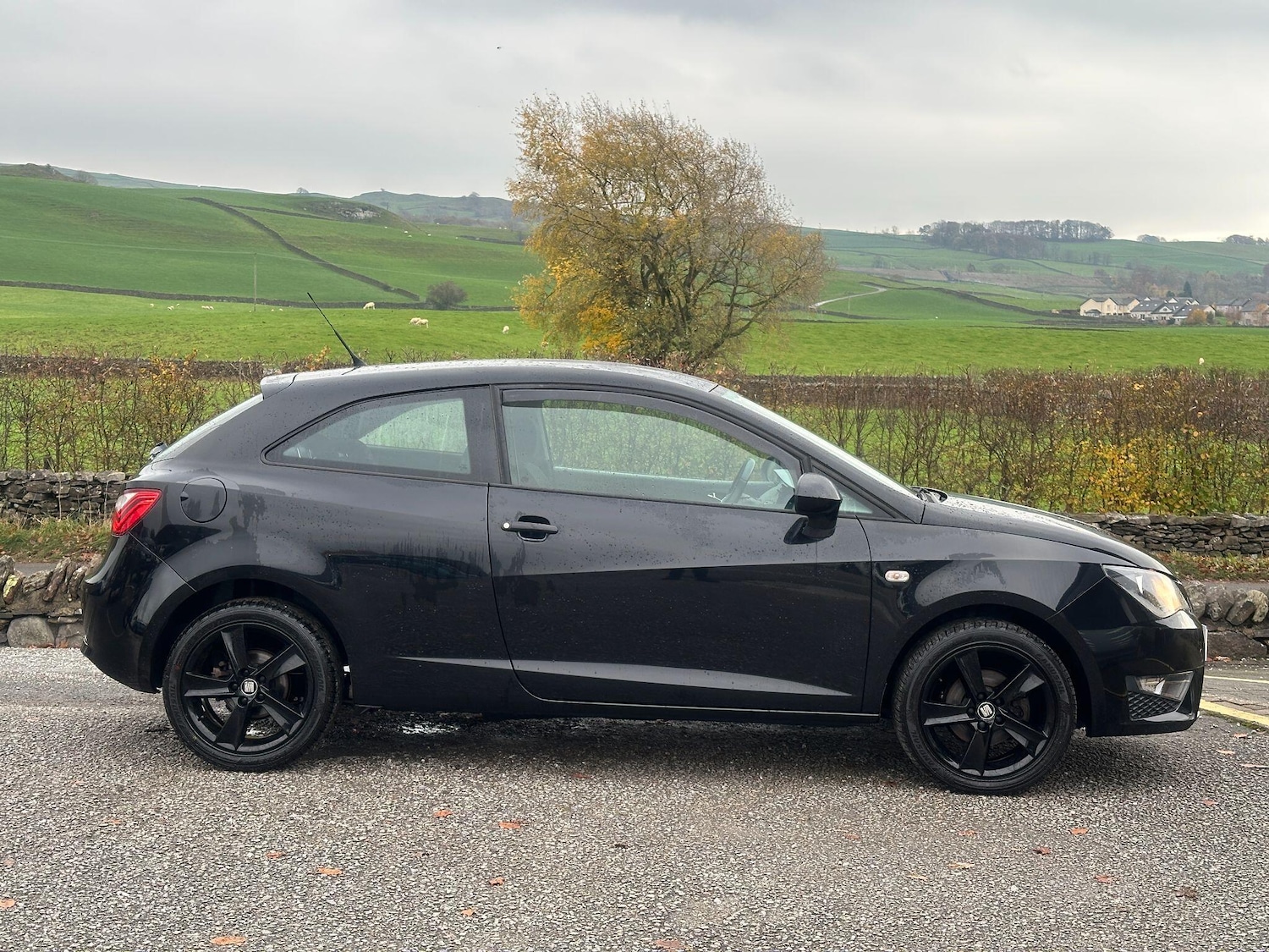 Used SEAT Ibiza 2015 for sale - 76494333: Photo 3