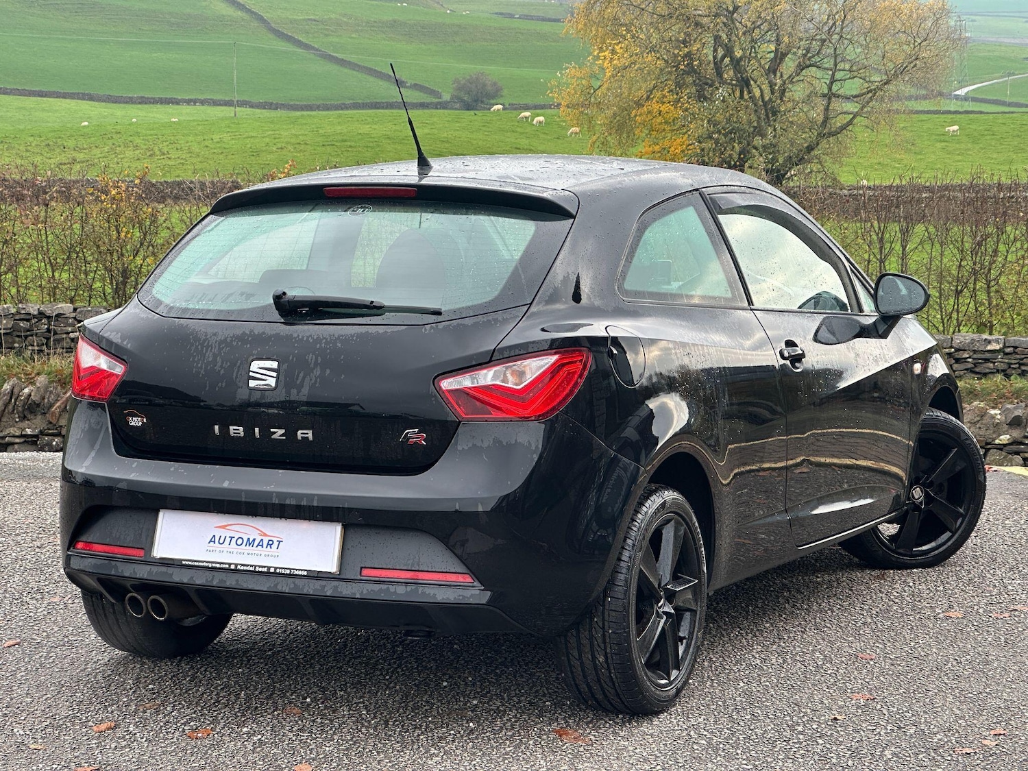 Used SEAT Ibiza 2015 for sale - 76494333: Photo 5