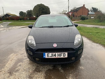 Used Fiat Punto 2014 for sale - 77244521: Photo