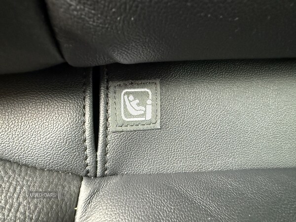 Used Ford Ranger 2023 for sale - 76240515: Photo 10